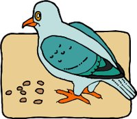 PIGEONR.WMF