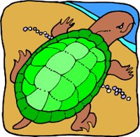 TURTLER.WMF