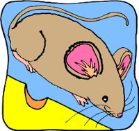 MOUSER.WMF
