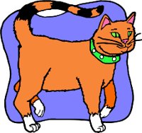 CAT6R.WMF