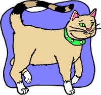 CAT5R.WMF