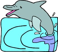 DOLPHINR.WMF