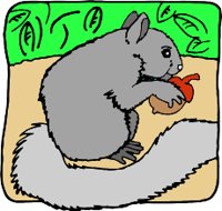 SQUIRRER.WMF