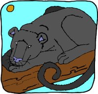 PANTHERR.WMF