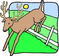 DEERR.WMF