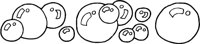 BUBBLB3R.WMF