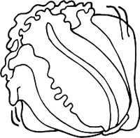 ROMAINE.WMF