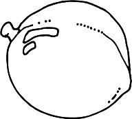PEA.WMF