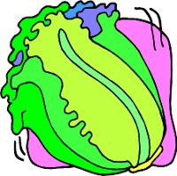 ROMAINE.WMF