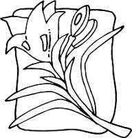 LILYR.WMF