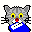 CAT.ICO