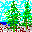 PLANTS11.ICO