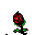 ROSE0001.ICO