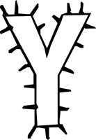 5_Y.WMF