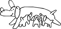 ANIML033.WMF