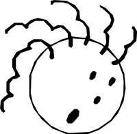 FACE_56.WMF