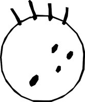 FACE_55.WMF