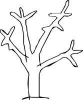 NATURE26.WMF