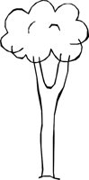 NATURE23.WMF