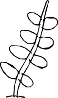 NATURE15.WMF