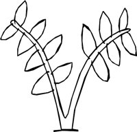 NATURE13.WMF