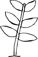 NATURE12.WMF