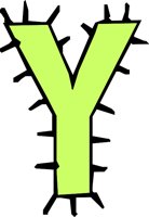 5_Y.WMF