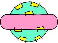 BANNR077.WMF