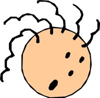 FACE_56.WMF