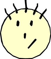 FACE_19.WMF