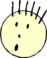 FACE_15.WMF