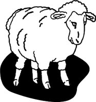 SHEEP.WMF