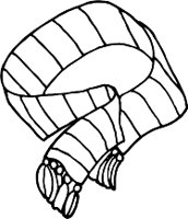 SCARF.WMF