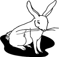 RABBIT.WMF