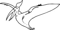PTERANOD.WMF