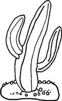 CACTUS.WMF