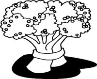 BROCCOLI.WMF