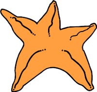 STARFISH.WMF
