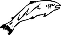NWAGG234.WMF