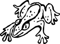 NWAGG213.WMF
