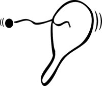 NWAGE898.WMF