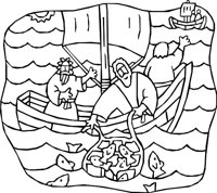NET-FISH.WMF