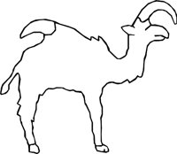 ANIMAL03.WMF
