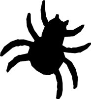 SPIDER_1.WMF