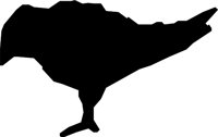 CROW_02.WMF