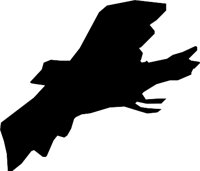CROW_01.WMF
