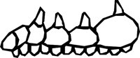 WUVETTE.WMF