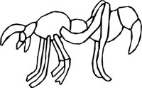 VINEATER.WMF