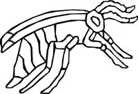 TIPWASP.WMF