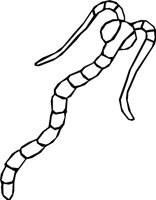 TELYWORM.WMF